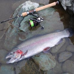 ニューロッド入魂！ ～天竜川ルアーフライ専用区～